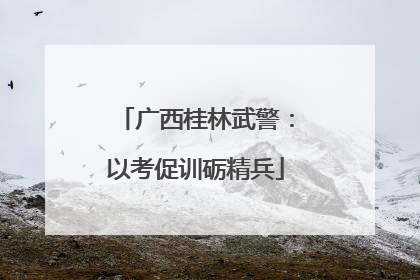 广西桂林武警：以考促训砺精兵